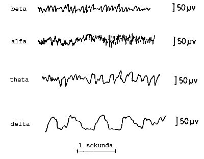 Doczona grafika